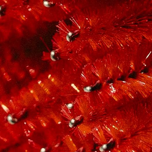 Complete Lash & Brow Package